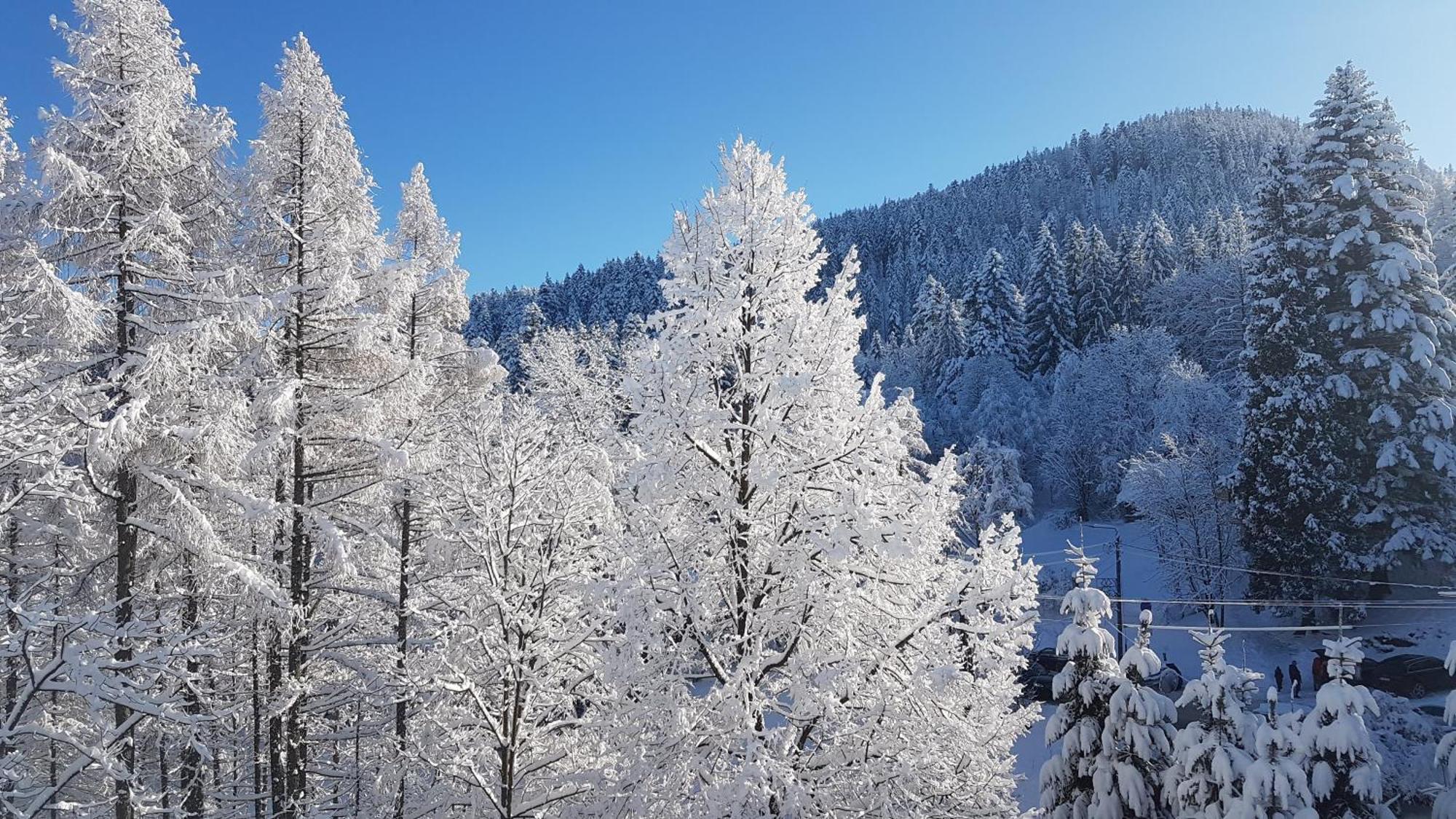 Osrodek Wypoczynkowy "Zakopiec" Hotel - Zakopane — Zdjęcia 2